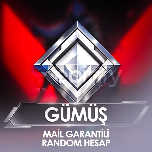TR -  Valorant Gümüş Rank Mail Garantili Hesap